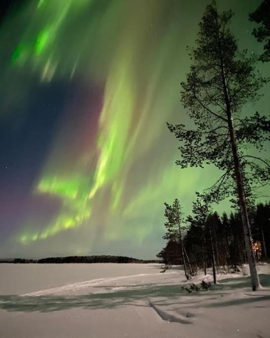 Ferienhaus Wilderness Onnela With Sauna Rovaniemi