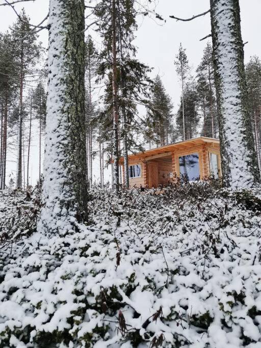 Wilderness Onnela With Sauna * Rovaniemi